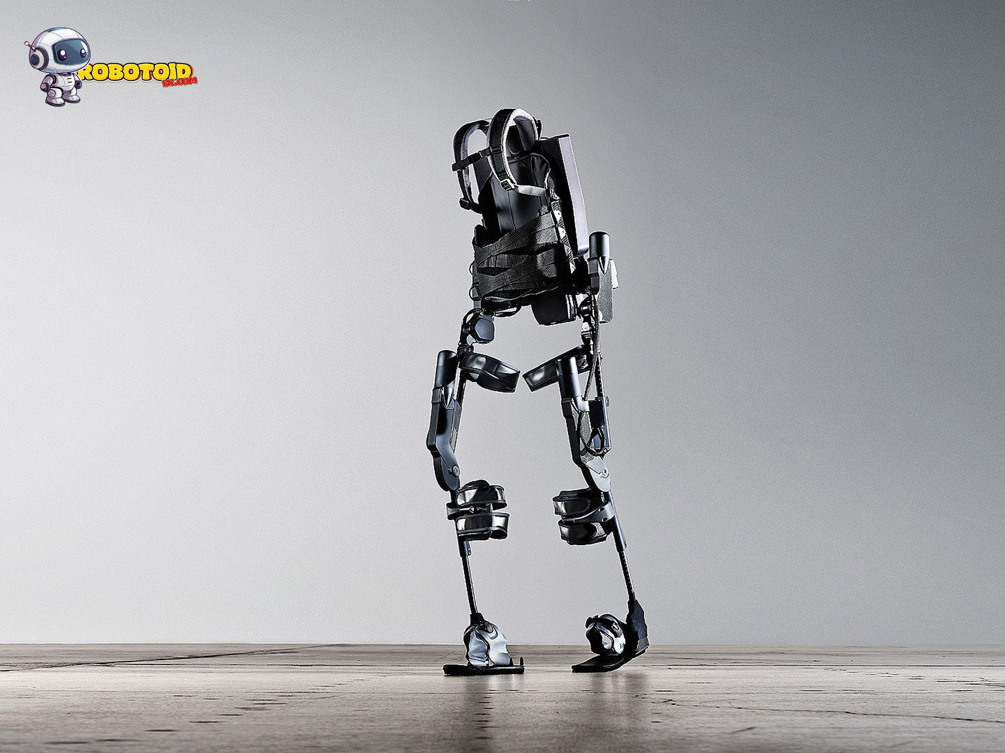 Robot